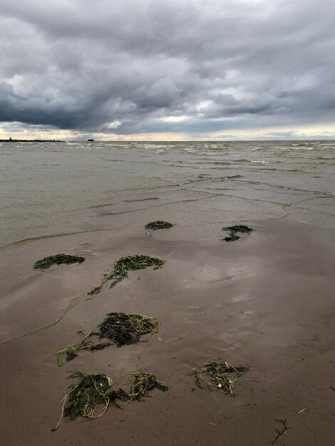 Vue panoramique de la mer contre le ciel