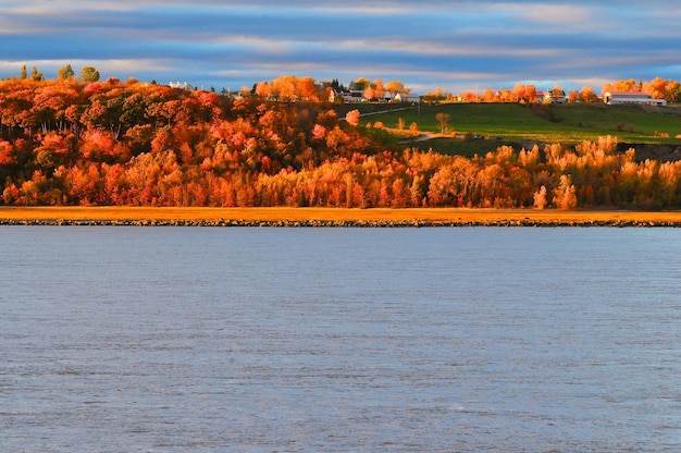 Vue panoramique de la mer par une colline contre le ciel en automne