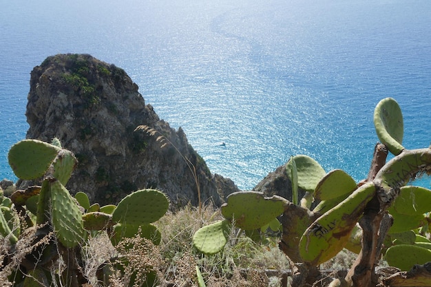 Photo vue panoramique de la mer et des rochers