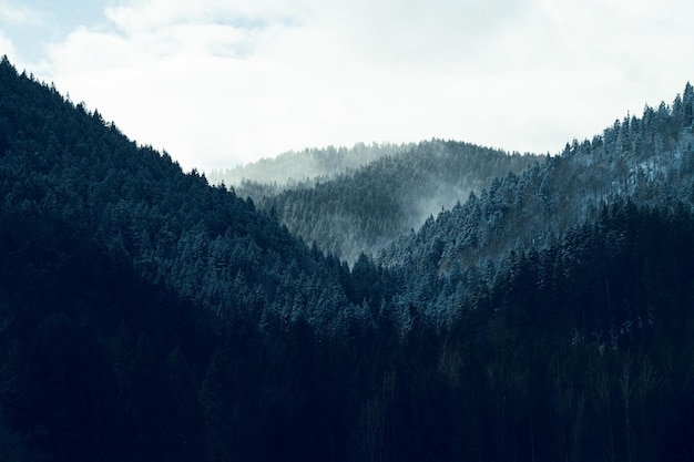 Photo vue panoramique de la montagne avec des arbres de la forêt