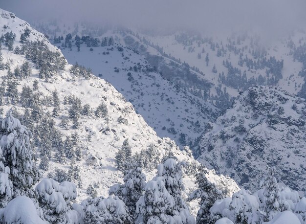 Vue panoramique sur la montagne couverte de neige Dirfys et ciel avec nuages sur l'île d'Evia Grèce