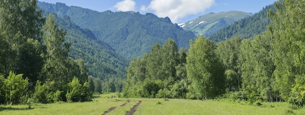 Vue panoramique sur la montagne un jour d'été