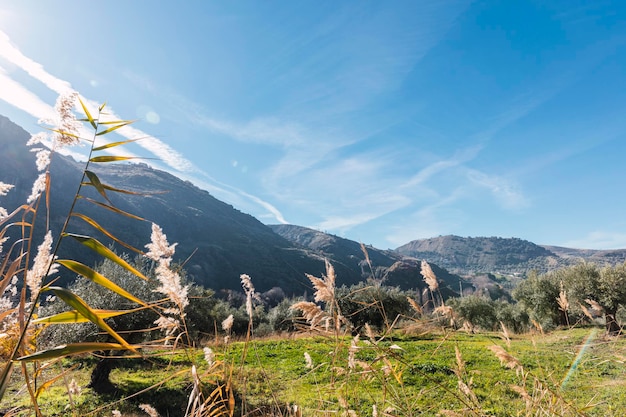 Vue panoramique sur la montagne sur la route de la rivière Monachil à Los Cahorros Grenade Espagne