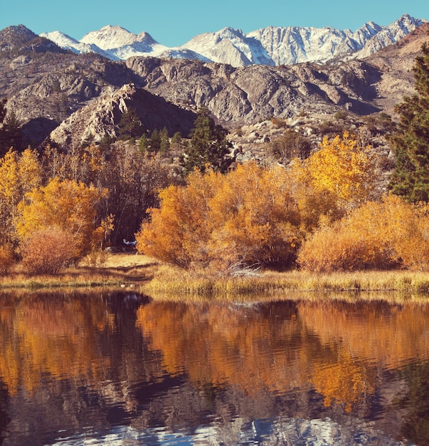 Vue panoramique sur la montagne de la Sierra Nevada. paysage de feuillage d'automne. Californie, États-Unis.