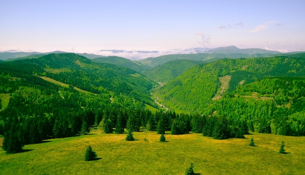 Vue panoramique des montagnes d'arbres contre le ciel