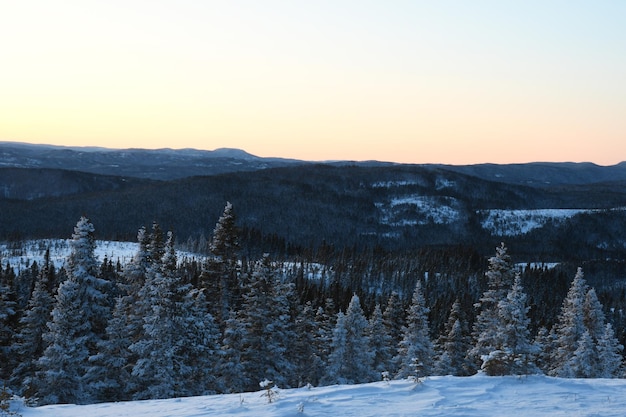 Vue panoramique des montagnes contre un ciel dégagé en hiver