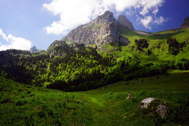 Vue panoramique des montagnes contre le ciel