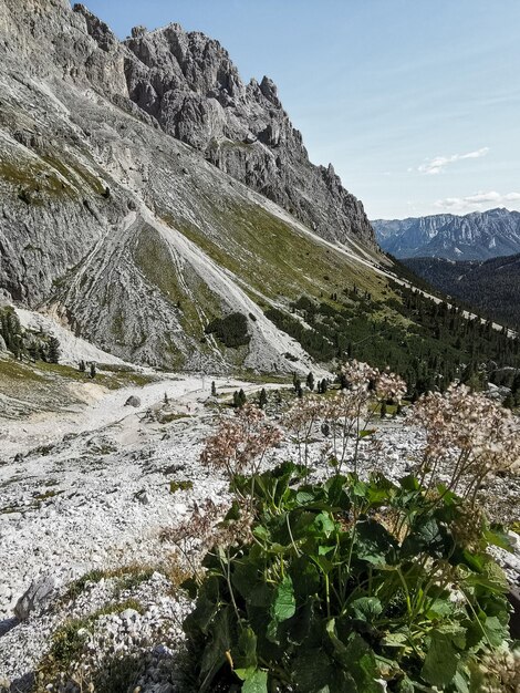 Vue panoramique des montagnes contre le ciel