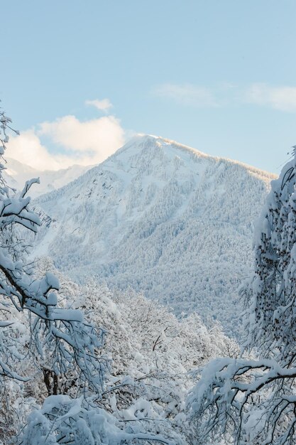 Vue panoramique des montagnes couvertes de neige contre le ciel