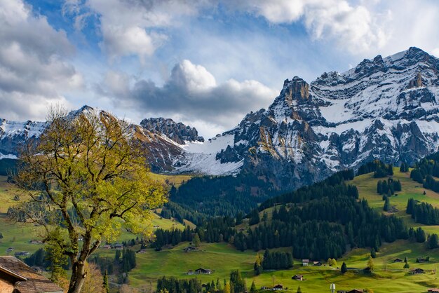 Vue panoramique des montagnes enneigées contre le ciel