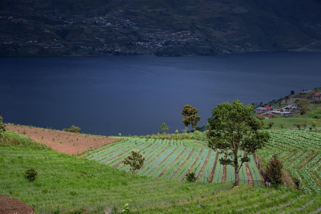 Vue panoramique sur les montagnes et le lac