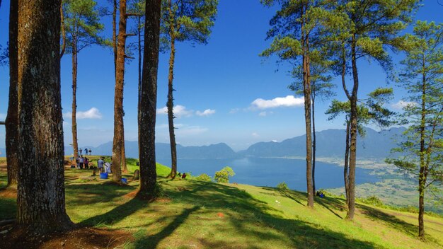 Vue panoramique sur les montagnes et le lac