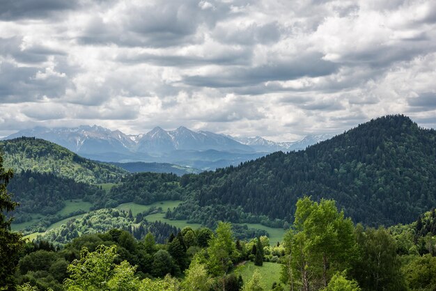 Vue panoramique sur les montagnes Pieniny et les Hautes Tatras de Palenica à Szczawnica Pologne