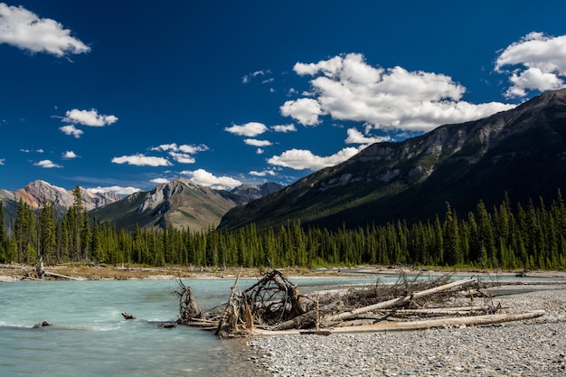 Photo vue panoramique sur les montagnes de la rivière kootenay, parc national kootenay