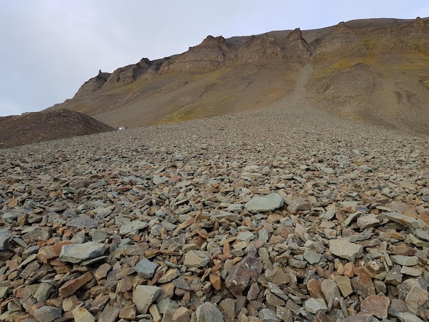 Vue panoramique des montagnes rocheuses contre le ciel