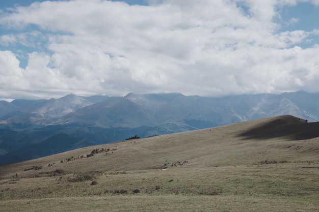 Vue panoramique sur les montagnes et les vallées dans le parc national Dombay, Caucase, Russie, Europe. Ciel bleu dramatique et paysage d'été ensoleillé