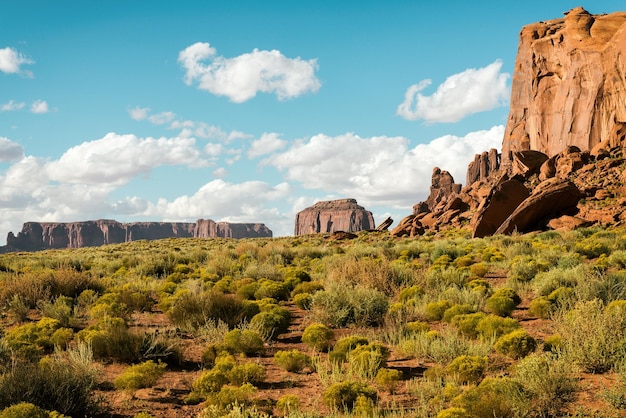 Vue panoramique des montagnes