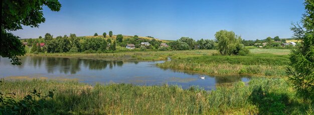 Vue panoramique sur la nature autour du château de Svirzh, en Ukraine, lors d'une journée d'été ensoleillée