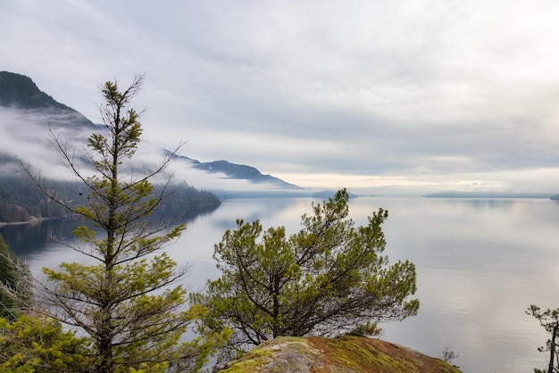 Vue panoramique sur la nature canadienne sur la côte ouest du Pacifique