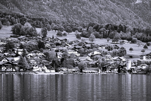 Photo la vue panoramique en noir et blanc du lac brienze en automne