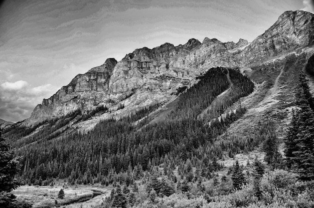 Photo vue panoramique en noir et blanc des montagnes rocheuses contre le ciel