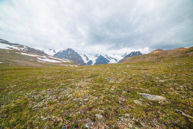 Vue panoramique panoramique depuis la colline herbeuse verte ensoleillée jusqu'à la haute chaîne de montagnes enneigées avec des sommets pointus et des glaciers sous un ciel nuageux gris Paysage coloré avec de grandes montagnes enneigées par temps changeant