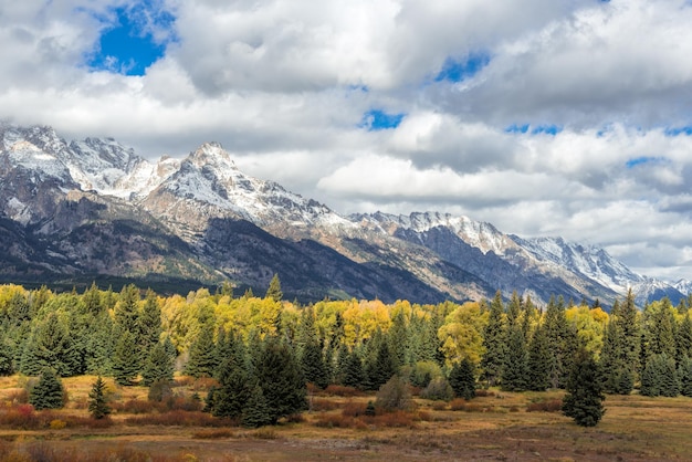 Vue panoramique sur le parc national de Grand Teton