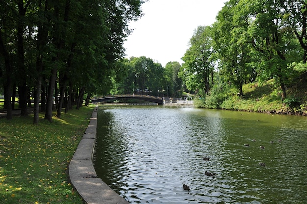 Vue panoramique sur le parc de la ville. Vue sur le pont sur l'étang et les berges avec de grands arbres. Été.