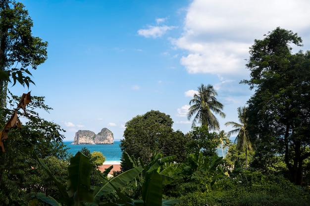 Vue panoramique d'un paysage bleu d'une plage exotique en Thaïlande Mer d'Andaman.