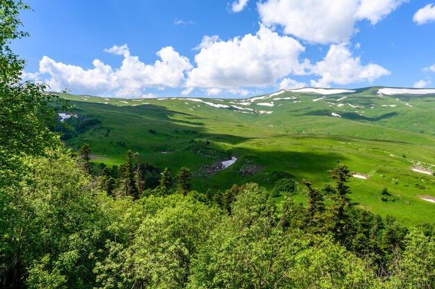 Photo vue panoramique sur un paysage idyllique de collines vallonnées avec des prairies en fleurs et des sommets alpins enneigés en arrière-plan par une belle journée ensoleillée