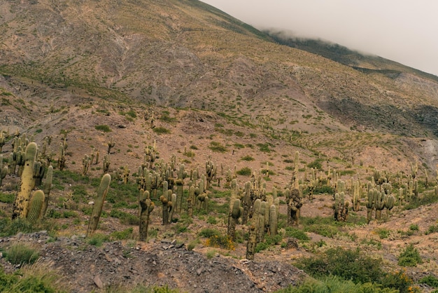 Vue panoramique de la petite ville de Maimara Jujuy en Argentine