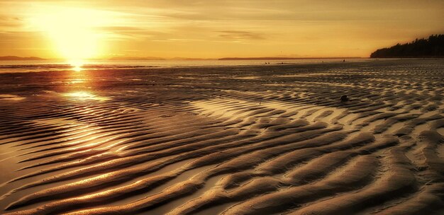 Vue panoramique de la plage contre le ciel au coucher du soleil