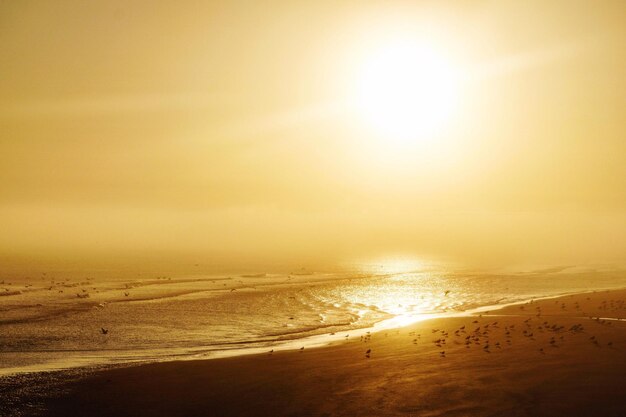 Photo vue panoramique de la plage contre le ciel au coucher du soleil