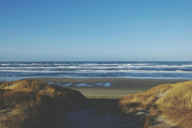 Photo vue panoramique de la plage contre un ciel bleu clair