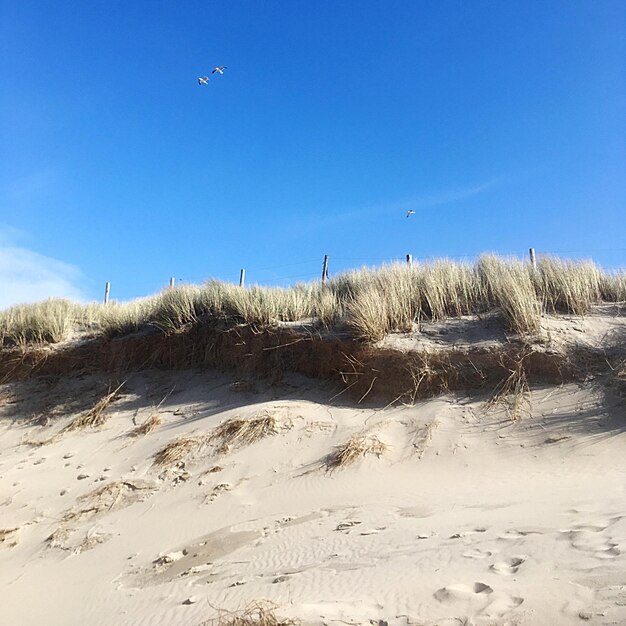 Photo vue panoramique de la plage contre un ciel bleu clair