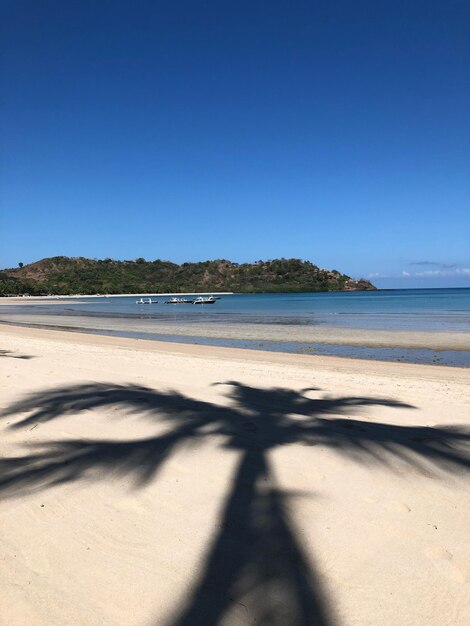 Vue panoramique de la plage contre un ciel bleu clair