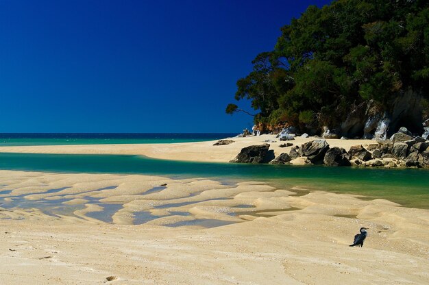 Vue panoramique de la plage contre un ciel bleu clair