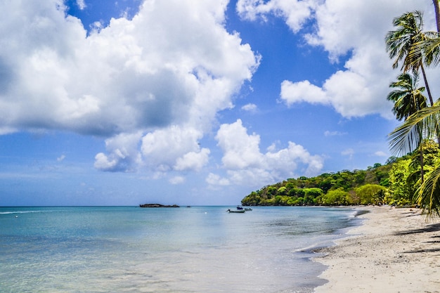 Vue panoramique de la plage contre un ciel nuageux