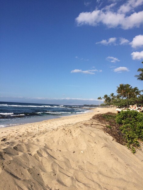 Vue panoramique de la plage contre le ciel