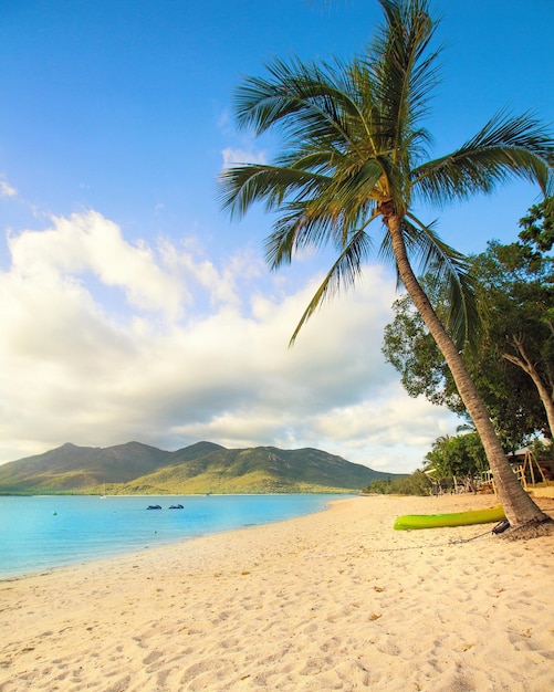 Vue panoramique de la plage contre le ciel