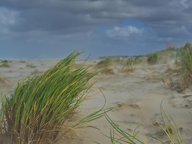 Vue panoramique de la plage contre le ciel