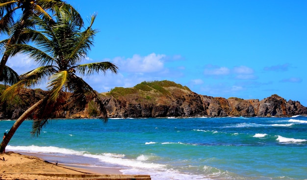 Vue panoramique de la plage contre le ciel