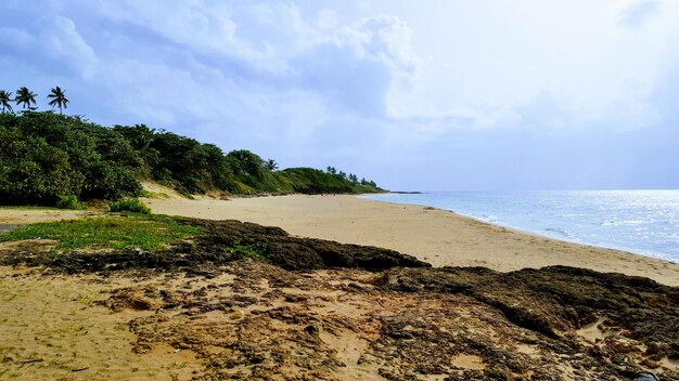 Vue panoramique de la plage contre le ciel