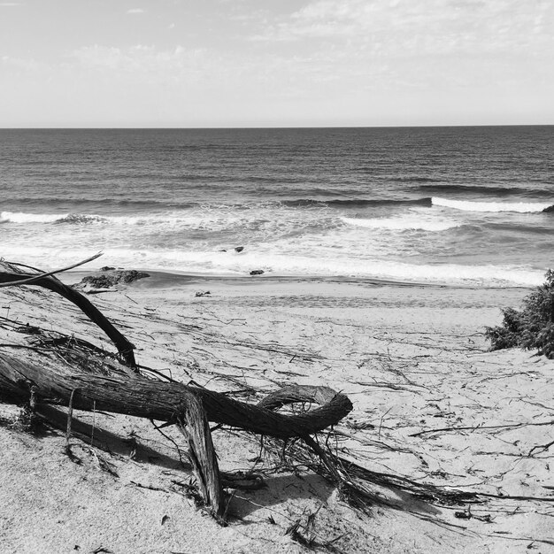 Photo vue panoramique de la plage contre le ciel