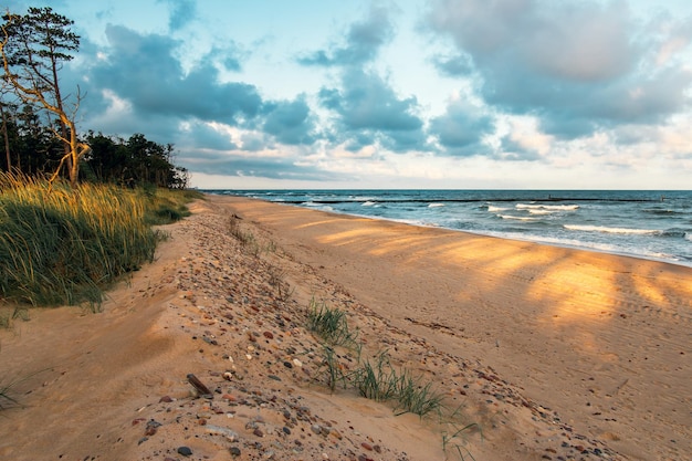 Vue panoramique de la plage contre le ciel