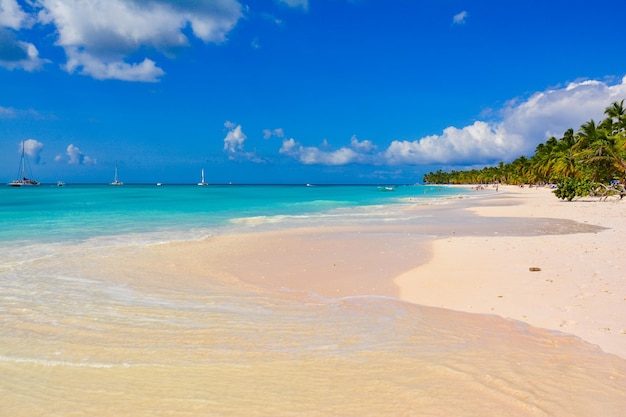 Vue panoramique de la plage et de la mer contre le ciel