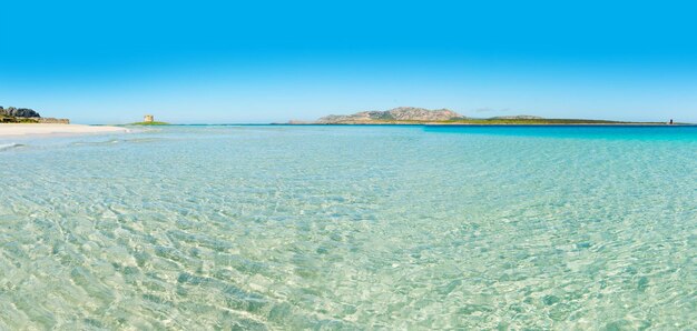 Vue panoramique sur la plage de La Pelosa