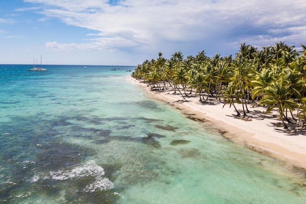 Vue panoramique sur la plage de sable blanc de l'île de Saona, République dominicaine