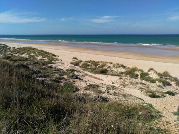 Photo vue panoramique de la plage