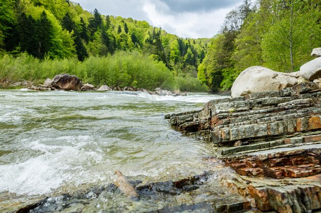 Vue panoramique sur le printemps de la rivière Prut à débit rapide près de Yaremche dans la région des Carpates en Ukraine Destinations de voyage et centres de villégiature naturels en Ukraine